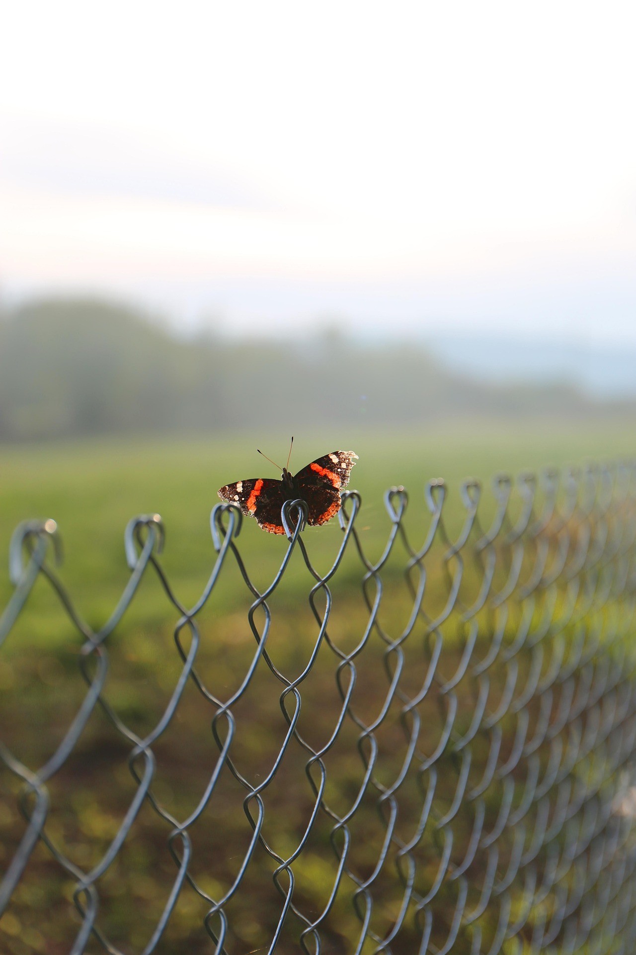 Custom Security Fence Installation 2