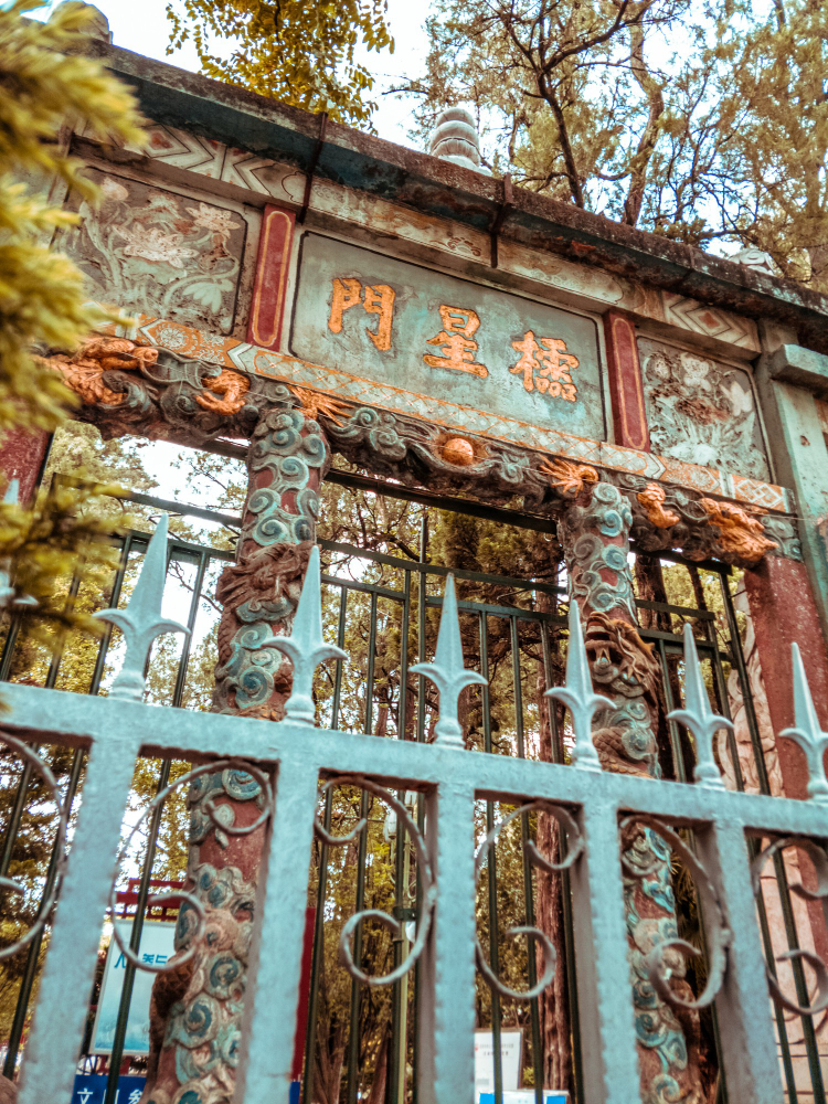 Metal Gates Installation 1