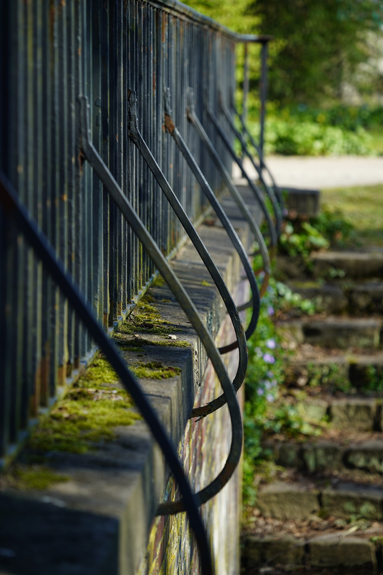 iron gates and railings 4